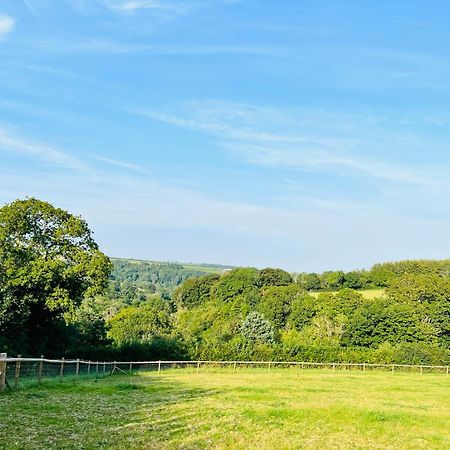 1 Bedroom Holiday Let In The Heart Of West Wales Carmarthen Buitenkant foto