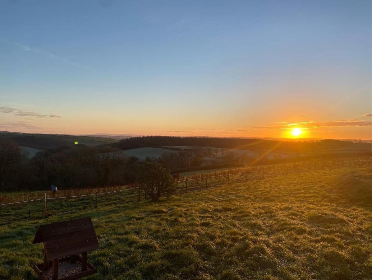1 Bedroom Holiday Let In The Heart Of West Wales Carmarthen Buitenkant foto